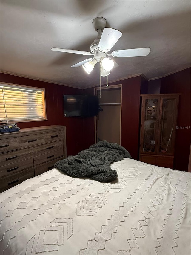 1123 NW 192nd Ave, Gainesville, FL 32609 - bedroom with a ceiling fan, ornamental molding, and two closets