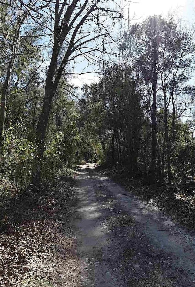 1123 NW 192nd Ave, Gainesville, FL 32609 - view of road with a view of trees