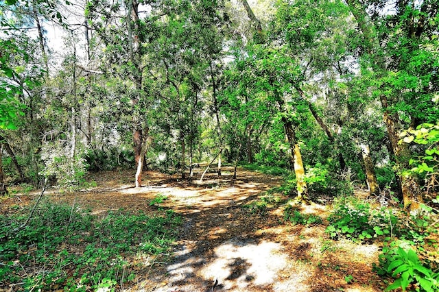 4214 Groveland Ave, Sarasota, FL 34231 - photo 48