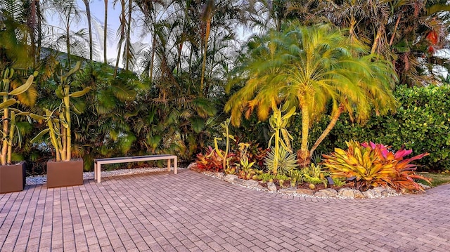 1530 Pine Bay Dr, Sarasota, FL 34231 - view of patio / terrace