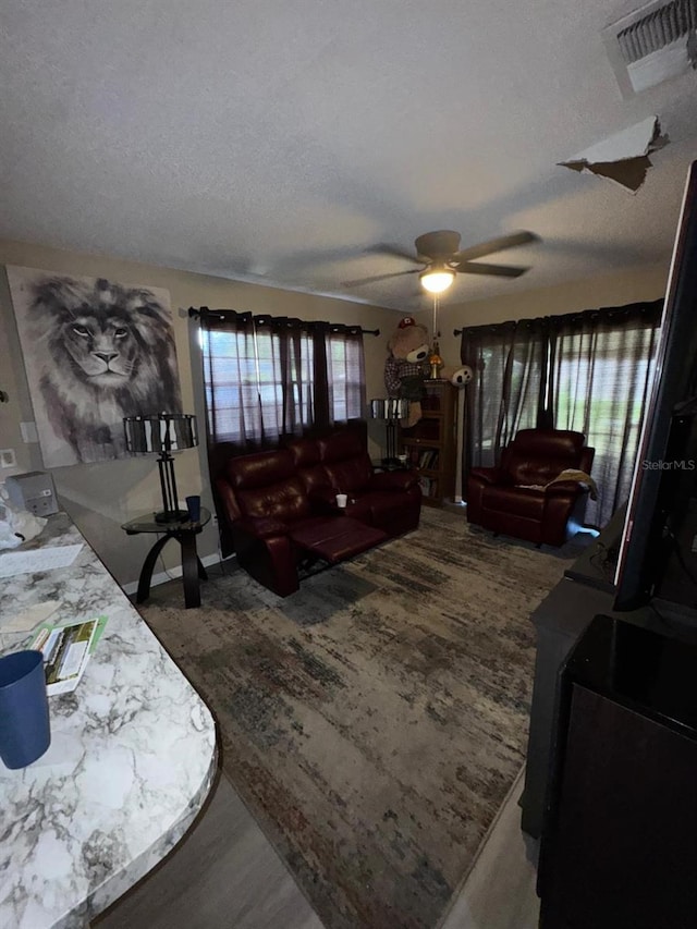 629 Spring Oaks Blvd, Altamonte Springs, FL 32714 - living room with plenty of natural light, a textured ceiling, and ceiling fan