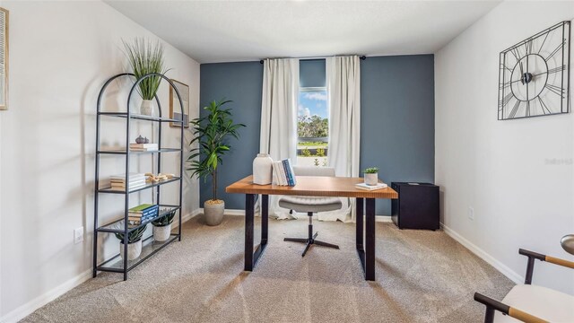 12059 Mountain Island Trl, Parrish, FL 34219 - photo 10