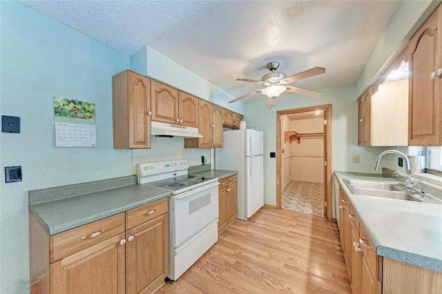 425 N 16th Ave, Arcadia, FL 34266 - photo 12