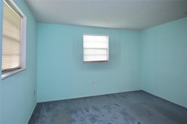 12107 45th Ave W, Cortez, FL 34215 - photo 11