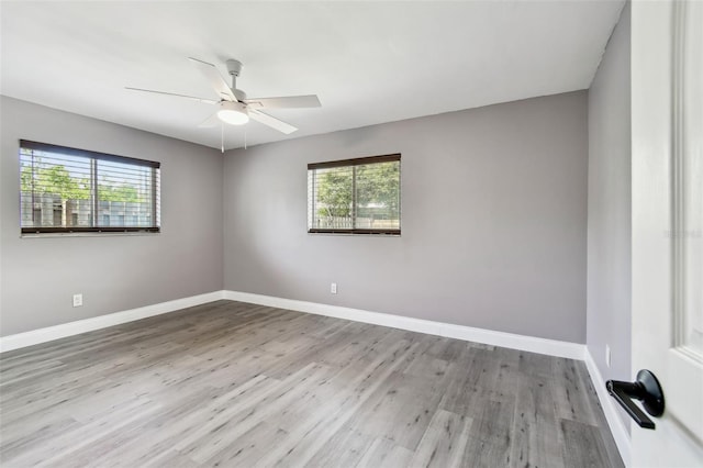 528 Manor Dr, Dunedin, FL 34698 - photo 34