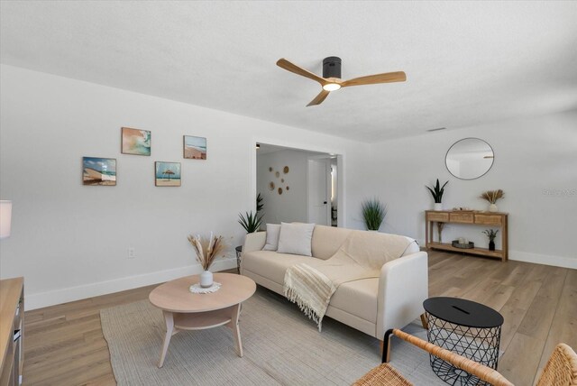 1857 Siesta Dr, Sarasota, FL 34239 - photo 4