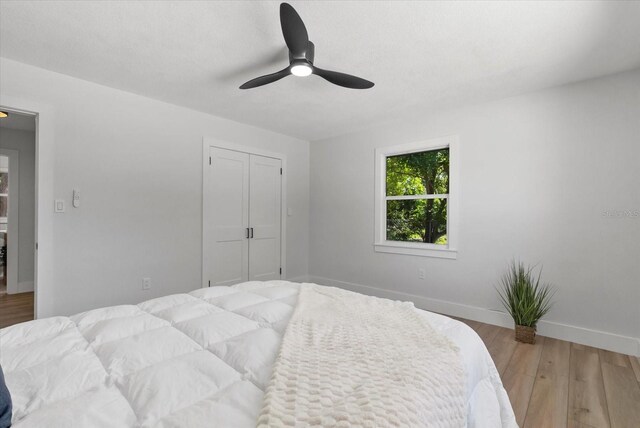 1857 Siesta Dr, Sarasota, FL 34239 - photo 13