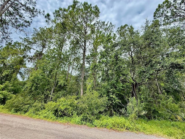 Westpoint Dr Lot # 474, Wesley Chapel, FL 33544 - photo 1