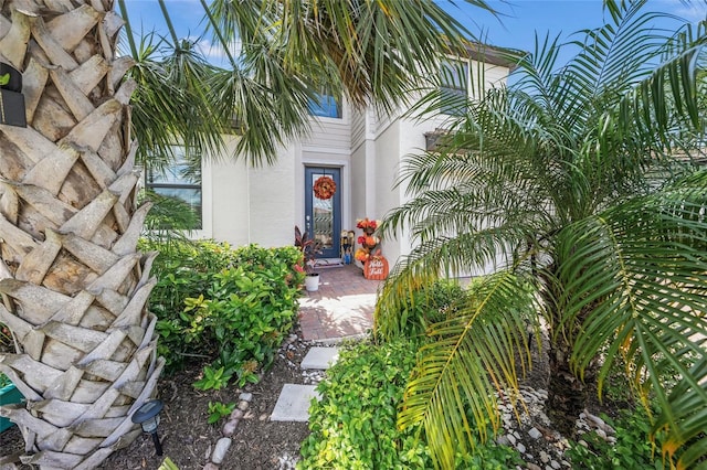 19369 Nearpoint Dr, Venice, FL 34292 - photo 5