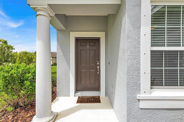 10841 Pine Bluff Gln, Parrish, FL 34219 - photo 10