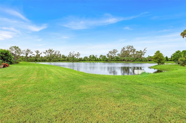 10841 Pine Bluff Gln, Parrish, FL 34219 - photo 51