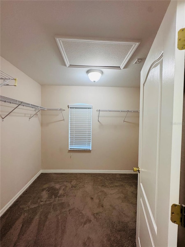 2849 SW 25th Pl, Cape Coral, FL 33914 - photo 58
