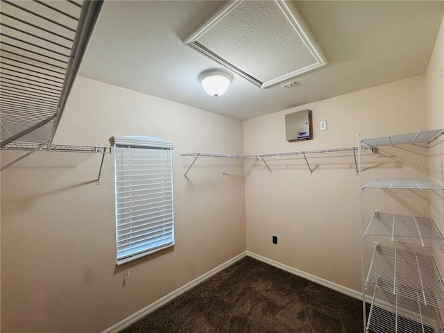 2849 SW 25th Pl, Cape Coral, FL 33914 - photo 59