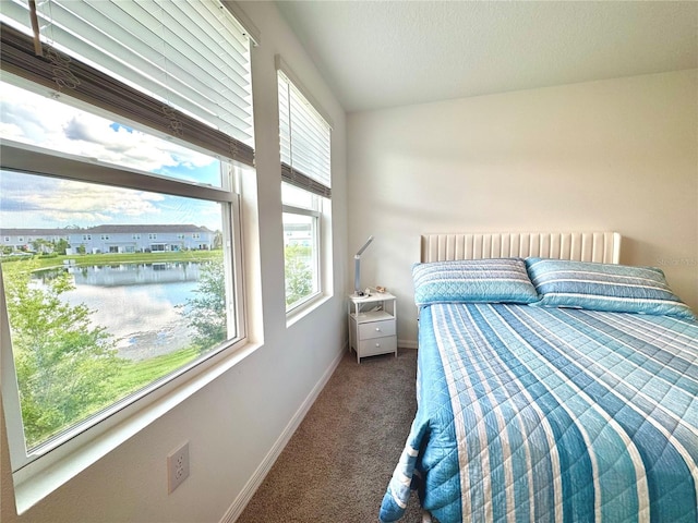 6253 Whetstone Ct, Palmetto, FL 34221 - bedroom featuring carpet floors and a water view