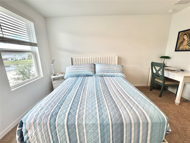 6253 Whetstone Ct, Palmetto, FL 34221 - bedroom featuring multiple windows and carpet floors