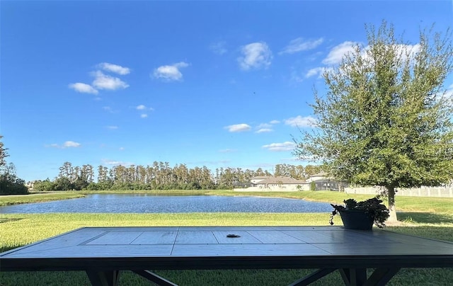 19293 Breynia Dr, Lutz, FL 33558 - photo 24