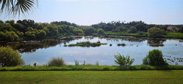 1251 Burgos Dr Unit 303, Sarasota, FL 34238 - water view featuring a forest