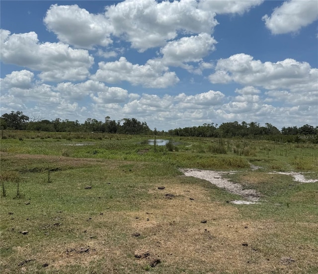 40700 Ballard Rd, Myakka City, FL 34251 - photo 3
