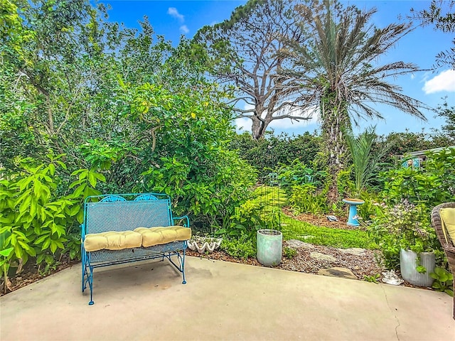 408 67th Ave W, Bradenton, FL 34207 - view of patio