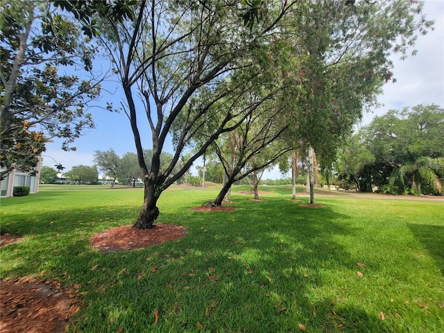 6507 Stone River Rd Unit 302, Bradenton, FL 34203 - view of green lawn