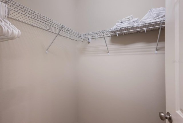 13714 Messina Loop Unit 202, Bradenton, FL 34211 - view of walk in closet