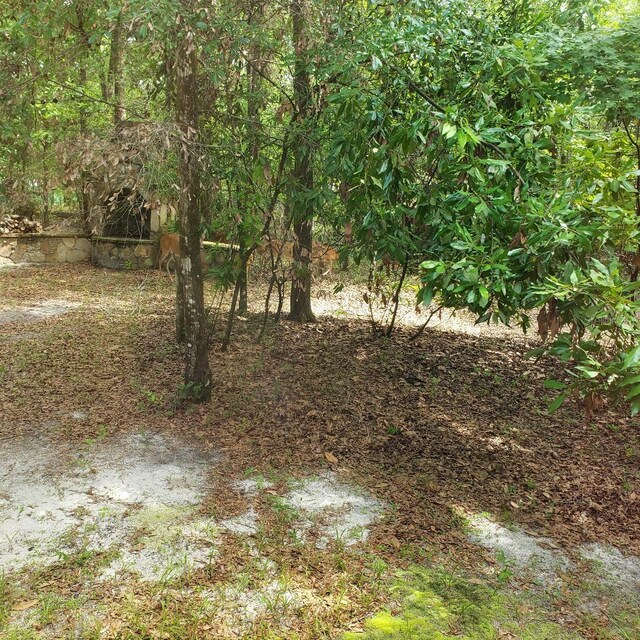 28063 31st Rd, Branford, FL 32008 - photo 22