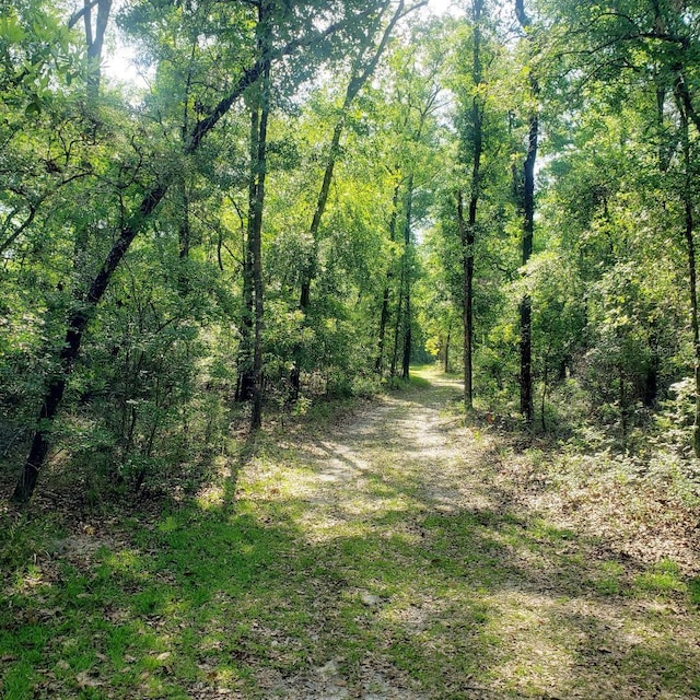 28063 31st Rd, Branford, FL 32008 - photo 24