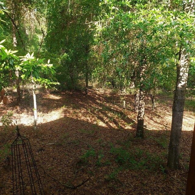 28063 31st Rd, Branford, FL 32008 - photo 25