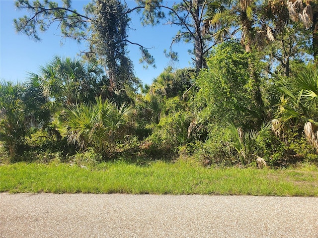 17147 Belmont Ave, Port Charlotte, FL 33948 - photo 1