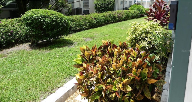 1850 Sunny Dr Unit F4, Bradenton, FL 34207 - view of grassy yard