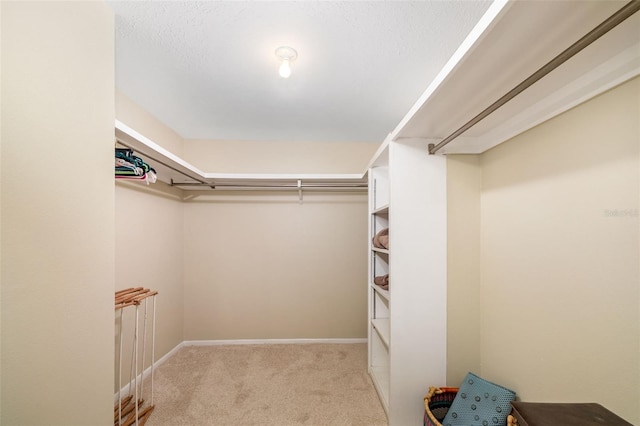 2110 Benjamin Franklin Dr Unit 301, Sarasota, FL 34236 - spacious closet featuring carpet floors