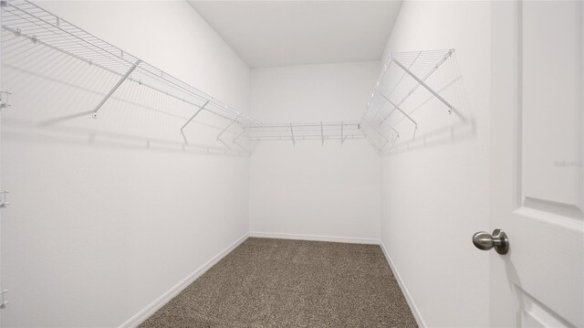5327 Olano St, Palmetto, FL 34221 - spacious closet with carpet
