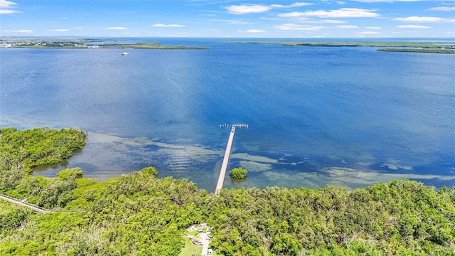 2417 Fairway Oaks Dr Unit 22, Palmetto, FL 34221 - aerial view of a nearby body of water