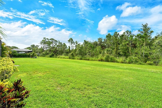 11625 Renaissance Blvd, Venice, FL 34293 - view of grassy yard