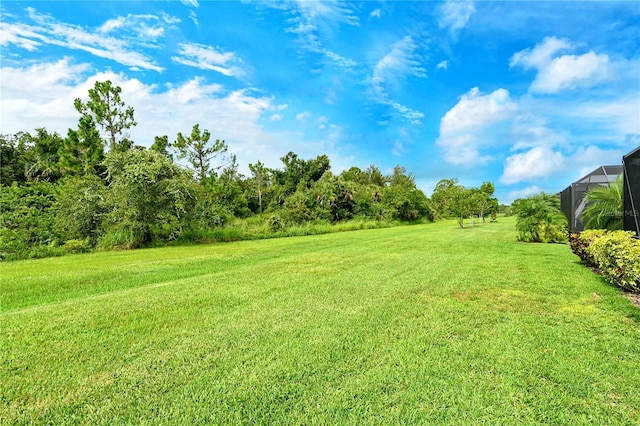 11625 Renaissance Blvd, Venice, FL 34293 - view of green lawn