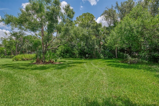 6644 Butlers Crest Dr, Bradenton, FL 34203 - photo 61