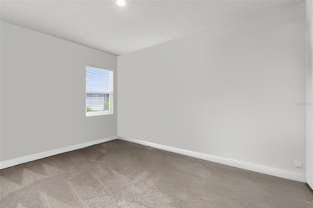 5461 Spanish Moss Cv, Bradenton, FL 34203 - photo 22