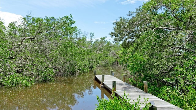 9403 9th Ave NW, Bradenton, FL 34209 - photo 40