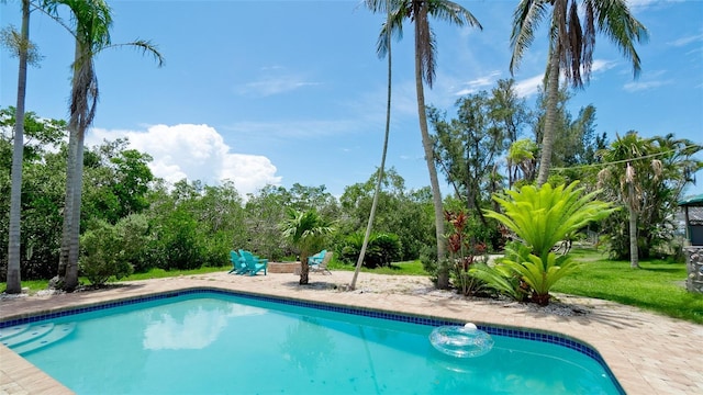 9403 9th Ave NW, Bradenton, FL 34209 - photo 44