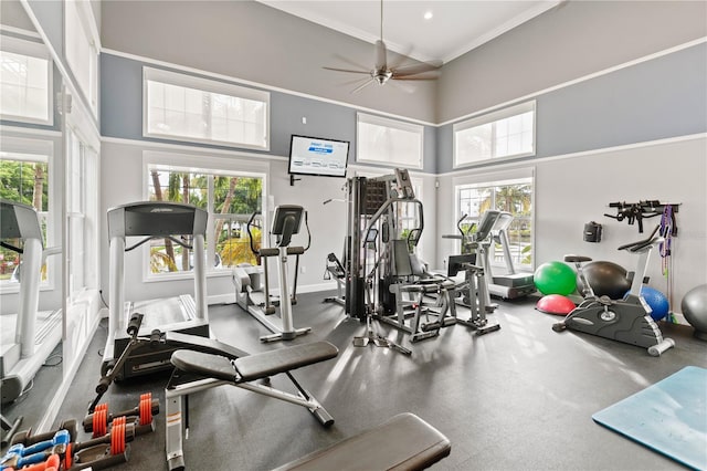 7611 34th Ave W Unit 301, Bradenton, FL 34209 - gym with a high ceiling, ornamental molding, plenty of natural light, and a ceiling fan