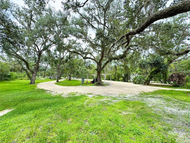 25640 State Road 70 E, Myakka City, FL 34251 - view of green lawn