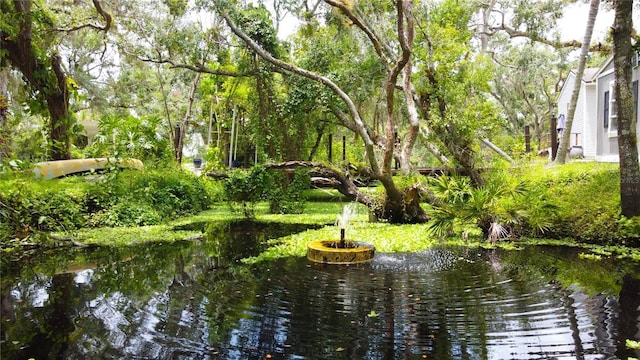 25640 State Road 70 E, Myakka City, FL 34251 - view of community