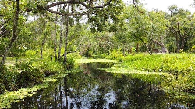 25640 State Road 70 E, Myakka City, FL 34251 - water view