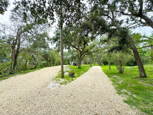 25640 State Road 70 E, Myakka City, FL 34251 - view of home's community with driveway