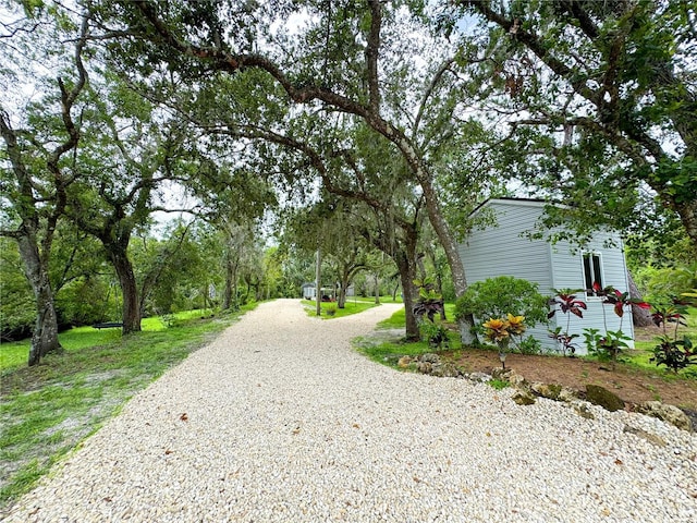 25640 State Road 70 E, Myakka City, FL 34251 - view of home's community with gravel driveway