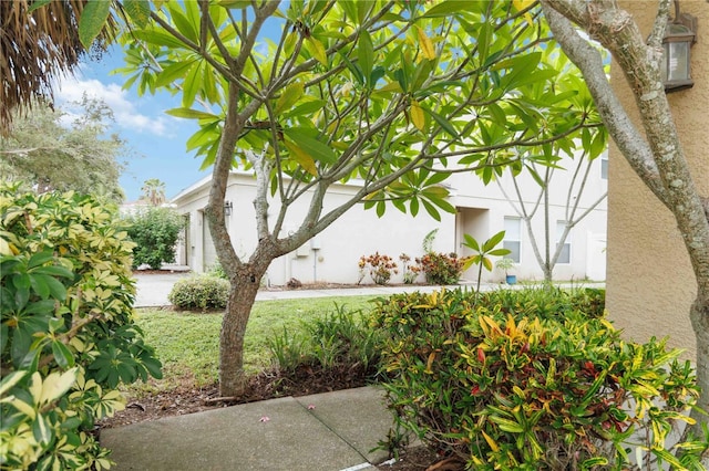 2303 28th Ave E, Palmetto, FL 34221 - view of yard