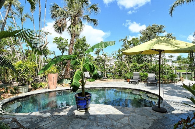 701 Marbury Ln, Longboat Key, FL 34228 - swimming pool with a patio