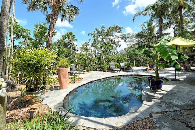 701 Marbury Ln, Longboat Key, FL 34228 - swimming pool featuring a patio