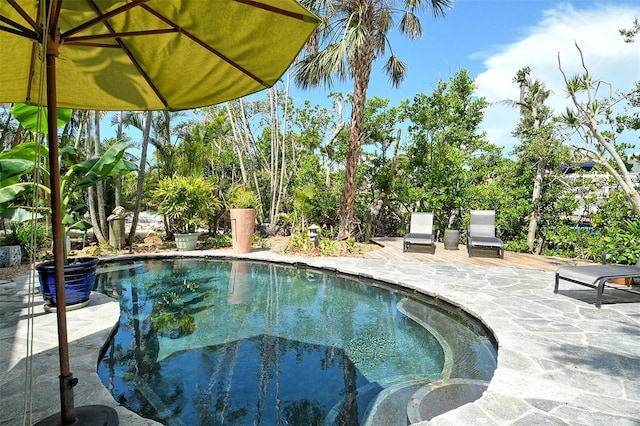 701 Marbury Ln, Longboat Key, FL 34228 - swimming pool with a patio area