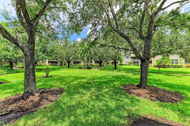 6536 Moorings Point Cir Unit 101, Lakewood Ranch, FL 34202 - photo 45